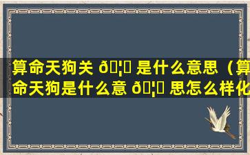 算命天狗关 🦆 是什么意思（算命天狗是什么意 🦄 思怎么样化解）